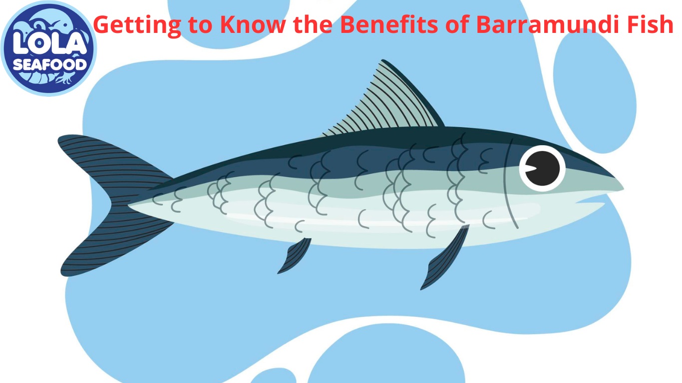 Getting To Know The Benefits Of Barramundi Fish